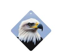 Poezjzw Ambientadores de coche con diseño de águila de mar de cabeza blanca, 6 unidades, tabletas cuadradas de aromaterapia, ambientadores perfumados para dormitorio, armario, zapatos