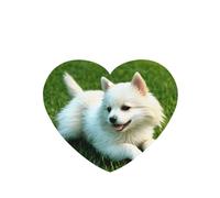 Poezjzw Ambientadores de coche con diseño de cachorro en la hierba, 6 piezas de pastillas de aromaterapia colgantes en forma de corazón, ambientadores perfumados para dormitorio y baño