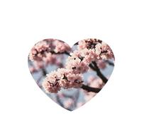 Poezjzw Ambientadores de coche con diseño de flores de cerezo florecientes, 6 unidades, pastillas de aromaterapia colgantes en forma de corazón, ambientadores perfumados para dormitorio y baño