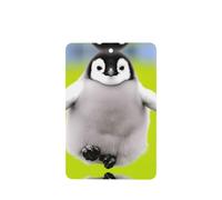 Poezjzw Ambientadores de coche con diseño de pingüino gordo, 6 unidades, rectangulares colgantes, tabletas de aromaterapia, ambientadores perfumados para dormitorio, armario, zapatos