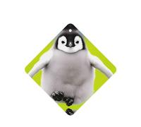 Poezjzw Ambientadores de coche con diseño de pingüino gordo, 6 unidades, tabletas cuadradas de aromaterapia, ambientadores perfumados para dormitorio, armario, zapatos