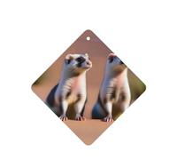 Poezjzw Ambientadores de coche con diseño de suricata mirando al desierto, 4 unidades, tabletas cuadradas de aromaterapia, ambientadores perfumados para dormitorio y baño