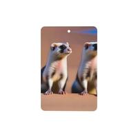 Poezjzw Ambientadores de coche con diseño de suricata mirando al desierto, 4 unidades, tabletas rectangulares de aromaterapia, ambientadores perfumados para dormitorio y baño