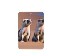 Poezjzw Ambientadores de coche con diseño de suricata mirando al desierto, 6 unidades, rectangulares colgantes, tabletas de aromaterapia, ambientadores perfumados para dormitorio y baño