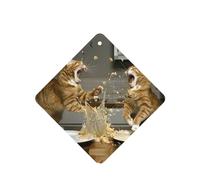 Poezjzw Ambientadores de coche con patrón de batalla de gatos, 6 unidades, tabletas cuadradas de aromaterapia, ambientadores perfumados para dormitorio, armario, zapatos