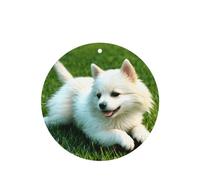 Poezjzw Ambientadores de coche con patrón de cachorro en la hierba, 6 unidades, forma redonda, para colgar, aromaterapia, ambientadores perfumados para dormitorio y baño