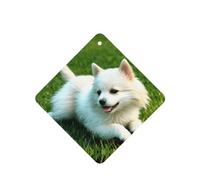Poezjzw Ambientadores de coche con patrón de cachorro en la hierba, 6 unidades, tabletas cuadradas de aromaterapia, ambientadores perfumados para dormitorio y baño