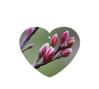 Poezjzw Ambientadores de coche con patrón de capullos de primavera, 4 unidades, en forma de corazón, para colgar, tabletas de aromaterapia, ambientadores perfumados para dormitorio, armario, zapatos