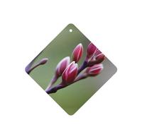 Poezjzw Ambientadores de coche con patrón de capullos de primavera, 6 unidades, cuadrados, para colgar, tabletas de aromaterapia, ambientadores perfumados para dormitorio, armario, zapatos