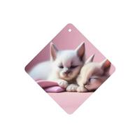 Poezjzw Ambientadores de coche con patrón de dos gatitos durmientes, 4 unidades, tabletas cuadradas de aromaterapia, ambientadores perfumados para dormitorio, armario, zapatos