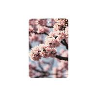 Poezjzw Ambientadores de coche con patrón de flores de cerezo florecientes, 6 unidades, rectangulares colgantes, tabletas de aromaterapia, ambientadores perfumados para dormitorio y baño
