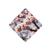 Poezjzw Ambientadores de coche con patrón de flores de cerezo florecientes, 6 unidades, tabletas cuadradas de aromaterapia, ambientadores perfumados para dormitorio y baño