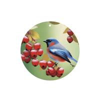 Poezjzw Ambientadores de coche con patrón de pájaro aleteo de berr para coche, 4 unidades, forma redonda, para colgar, tabletas de aromaterapia, ambientadores perfumados para dormitorio y baño