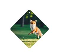 Poezjzw Ambientadores de coche con patrón de zorro saltador, 6 unidades, cuadrados, para colgar, tabletas de aromaterapia, ambientadores perfumados para dormitorio y baño