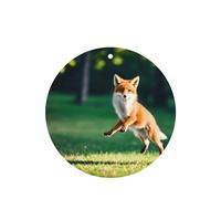 Poezjzw Ambientadores de coche con patrón de zorro saltando 4 piezas de forma redonda colgantes de aromaterapia, ambientadores perfumados para dormitorio y baño