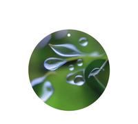 Poezjzw Ambientadores para coche, diseño de rocío matutino, 4 unidades, forma redonda, para colgar en tabletas de aromaterapia, ambientadores perfumados para dormitorio y baño