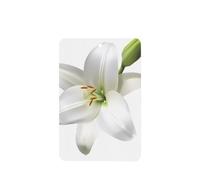 Poezjzw Ambientadores rectangulares con aroma a lavanda para coche, diseño de lirio, 4 tabletas de aromaterapia para armario, zapatero, eliminar