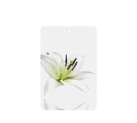 Poezjzw Ambientadores rectangulares con aroma a lavanda para coche, diseño de lirios hermosos, 4 tabletas de aromaterapia para armario de zapatos, eliminar