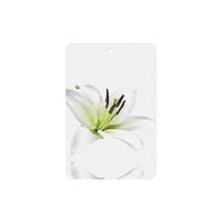 Poezjzw Ambientadores rectangulares con aroma a lavanda para coche, diseño de lirios hermosos, 6 unidades, tabletas de aromaterapia para armario de zapatos