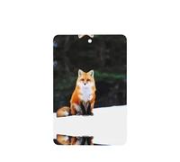 Poezjzw Ambientadores rectangulares con aroma a lavanda para coche, divertido patrón de zorro, 6 tabletas de aromaterapia para armario, zapatero, eliminar