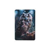 Poezjzw Ambientadores rectangulares con aroma a lavanda para coche, patrón de búho, 4 tabletas de aromaterapia para armario y zapatos