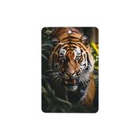 Poezjzw Ambientadores rectangulares con aroma a lavanda para coche, patrón de tigre de la selva, 6 tabletas de aromaterapia para armario y zapatos