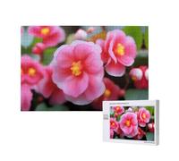 Poezjzw Begonia in Bloom - Rompecabezas clásico para adultos, 1000 piezas, rompecabezas de madera moderno para decoración del hogar, juego intelectual, 75 x 50 cm