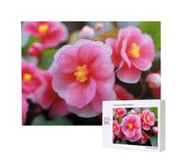 Poezjzw Begonia in Bloom - Rompecabezas clásico para adultos, 500 piezas, rompecabezas de madera moderno para decoración del hogar, juego intelectual, 52 x 38 cm