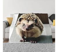 POEZJZW Bonita manta de franela con patrón de erizo de 50 x 40 pulgadas, manta de cama para sofá, cama, noche de cine, campamento y viajes