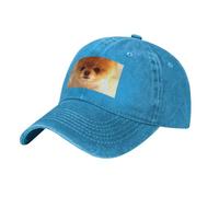 POEZJZW Cutest Dog Puppy Pattern Cowboy Baseball Capadjustable Metal Snapback Cotton Trucker Hat Unisex Black, azul, Talla única