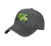 POEZJZW Gorra de béisbol con patrón de aloe vera para hombre y mujer, ajustable, unisex, color negro, Deep Heather, talla única