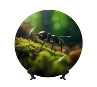 POEZJZW King Of Ants - Plato decorativo con patrón de hormigas, apto para microondas, horno/lavavajillas, resistente a los arañazos, para decoración de sala de estar, arte de entrada, regalo para el