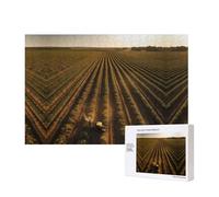 Poezjzw Land Of Hope - Rompecabezas de madera de 300 piezas para adultos, para familia, amigos, decoración del hogar, arte de pared, 15.7 x 11 pulgadas