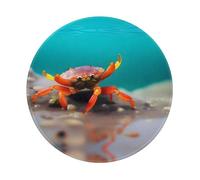 POEZJZW Little Crab by The Sea - Alfombrilla redonda para ratón, bonita alfombrilla de ratón, base de goma antideslizante con borde cosido, tamaño pequeño de 7.9 x 7.9 pulgadas