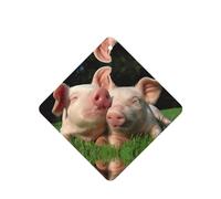 Poezjzw Lovely Pig Grass - Ambientadores para coche, 6 unidades, cuadrados, para colgar en tabletas de aromaterapia, ambientadores perfumados para dormitorio, armario, zapatos