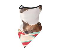 POEZJZW Papillon In The Box - Bandana con impresión para la cabeza, bufanda facial, calentador de cuello, multifuncional, sin costuras