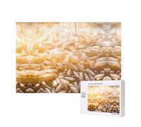 Poezjzw Surname Mi Puzzles para adultos, 300 piezas, rompecabezas de madera para familia, amigos, decoración del hogar, arte de pared, 15.7 x 11 pulgadas