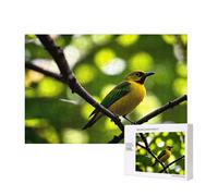 Poezjzw Yellow Bluebird - Rompecabezas clásico de madera de 300 piezas para decoración del hogar, juego intelectual de 28 x 40 cm