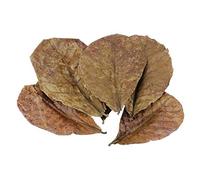 POFET 10pcs Catappa india almendra hojas ketapang hoja camarón betta pescado acuario cuidado menor pH para acuario tanque de peces uso