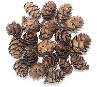 POFET 30 Piezas Piñas navideño,Mini Conos de Pino Naturales de Acción de Gracias para el hogar Manualidades de Bricolaje Árbol de Navidad Decoración de otoño Invierno (1-2 cm)