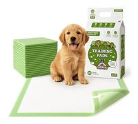Pogi empapadores XL para Perros Grandes - Extra absorbentes - 60 × 90 cm, 20 Unidades