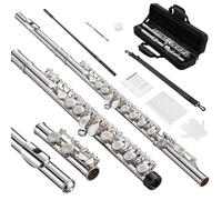 POGOLAB Flauta de Agujero Abierto, Pie C, Offset-G, Flauta Plateada, con Estuche para Flauta/Kit de Limpieza de Flauta/Varilla de Sonda/Guantes/Grasa, para Avanzados