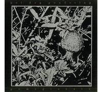 Poi Dog Pondering - Pomegranate