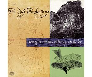 Poi Dog Pondering - Wishing Like a Mountain & Thinking Like the Sea