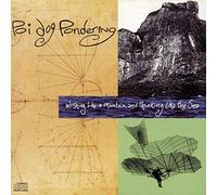 Poi Dog Pondering - Wishing Like A Mountain [Vinilo]