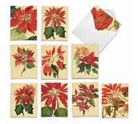 Poinsettia Saison de Noël Humour papier carte 10 Assorted Blank Note Cards (SKU:M10012XB) 10 Assorted Blank Note Cards (SKU:M10012XB)