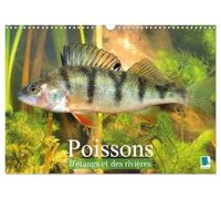 Poissons : d'étangs et des rivières (Calendrier mural 2027 DIN A3 vertical), CALVENDO calendrier mensuel: Prises de vues sous-marines grandioses de poissons qui évoluent dans nos eaux