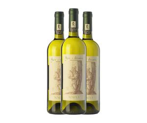 Pojer e Sandri Nosiola Vigneti delle Dolomiti 75 cl Vino blanco (Caja de 3 Botellas de 75 cl)