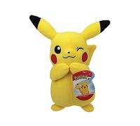 Pokémon Boti Peluche de 20 cm Wave 9 - Display 6 Piezas