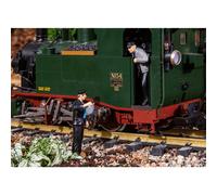 POLA G 10030 Personal de Loca de Vapor